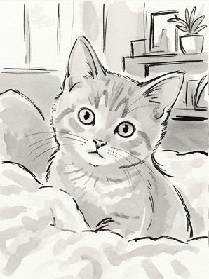Inked kitten with a very pale warm grey wash over the body