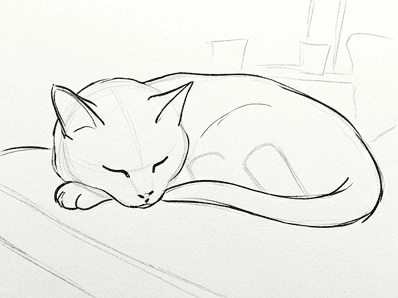 5th step of the how to draw a cat in watercolor tutorial: add ears, tail, and fur contour.
