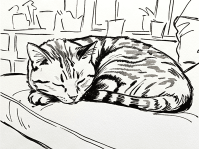 6th step of the how to draw a cat in watercolor tutorial: erase pencil, loose ink line.