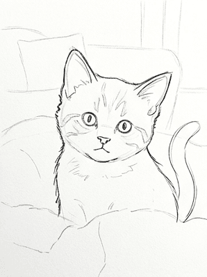 5th step of the how to draw a kitten tutorial: add ears, tail, and fur contour.