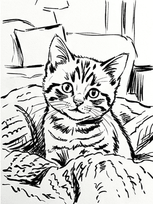 6th step of the how to draw a kitten tutorial: erase pencil, loose ink line.