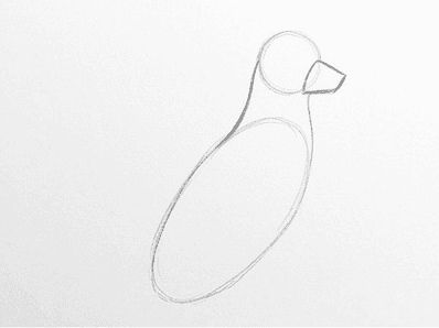The head oval now has a clear muzzle box and a soft neck curve joining it to the chest.