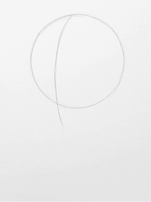 Soft side plane lines drawn from temple to jaw on each side of the head