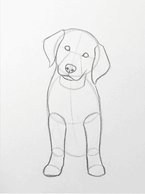 Third stage with the puppy's two front legs and paws blocked in.