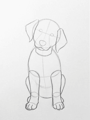 Fourth stage adding the folded haunches and rear paws of the seated puppy.