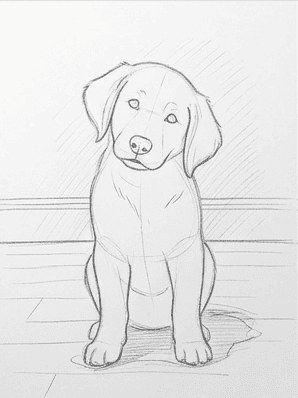 Seventh stage shading the background wall and the cast shadow beneath the puppy.
